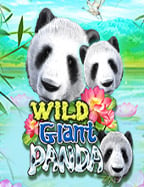 เครดิต ฟรี จริงๆ หลังกดปั่นสล็อต